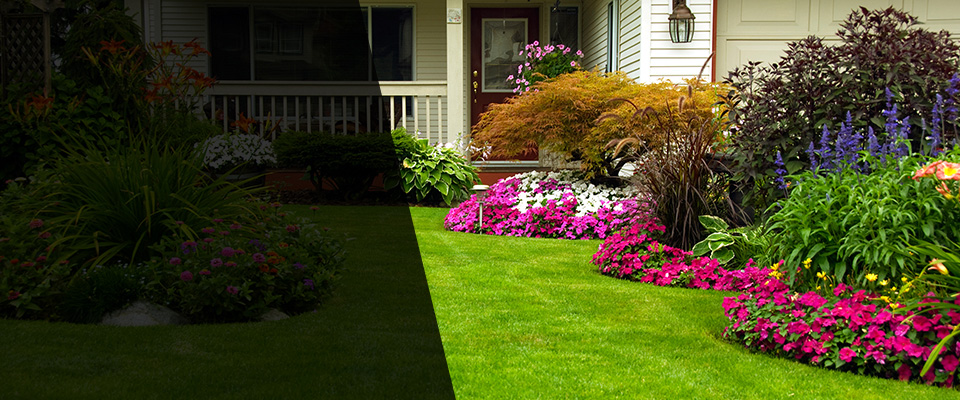 Carolina Beach Landscapers