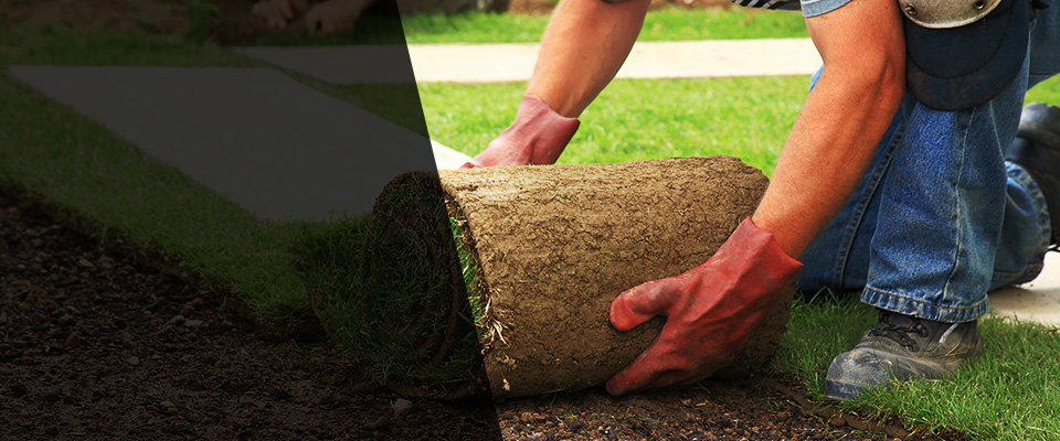Carolina Beach Landscapers